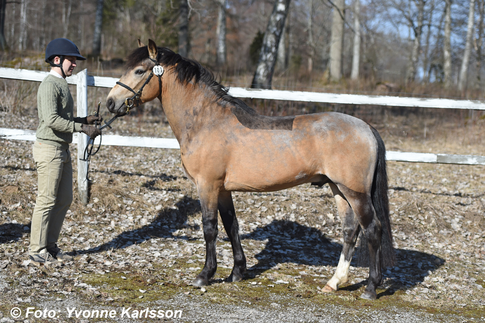 Denna bild har ett alt-attribut som är tomt. Dess filnamn är DimmansHelios_e266_159DSC_0172web.jpg